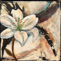 Original painting 'Seeking the Light 9' 2025 by Annikaprana, mixed media acrylic and oil on stretched canvas, 20×20 cm, white lily turning towards light
