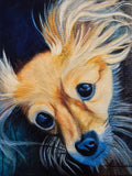 Lovely Loke 2025 — SOLD