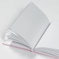 Living in a Strange World — Notebook
